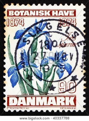 Postage stamp Denmark 1974 Iris Flower