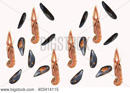 Shellfish Open Mussels And Scampi Shellfish Open Mussels And Scampi