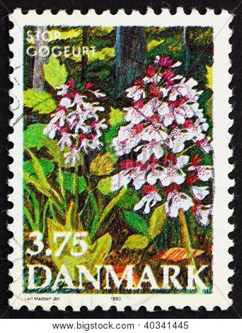 Postage stamp Denmark 1990 Purple Orchis