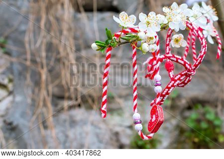 White And Red Bulgarian Martenitsa Bracelets, Hanging On The Branch Of Spring Blossom Tree