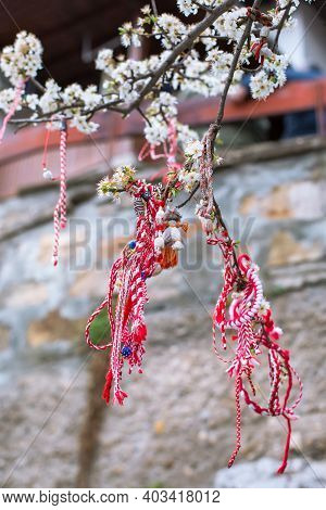 White And Red Bulgarian Martenitsa Bracelets, Hanging On The Branch Of Spring Blossom Tree