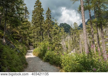 Rocky Hiking Path In Studena Dolina, High Tatras National Park, Slovakia, Europe, Cloudy Sky.