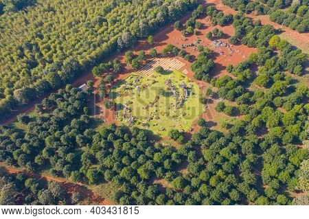 Aerial Top View Of Garden Park Range Of Plants, Trees, Rocks, Red Soil And Nature Green Environmenta