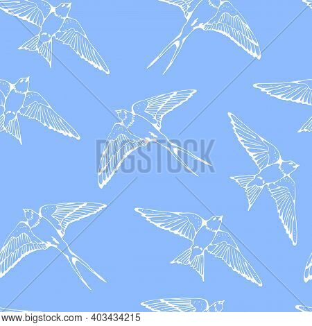 Swallow And House Martin Birds Vector Pattern, Hand Drawn Seamless Background