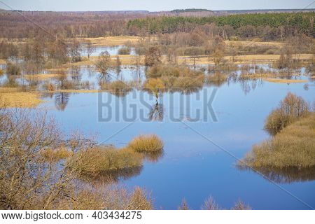 Scenic View Of Flooded Trees During High Water At Spring Time, Snov River, Ukraine