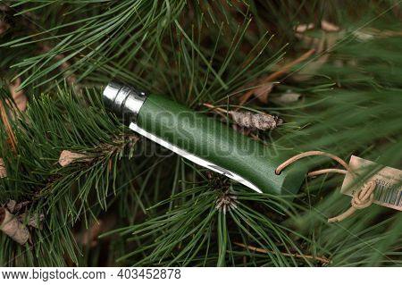 Folding French Knife. Knife Lying On The Tree. Top.
