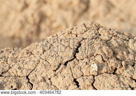 Texture Beige Or Brown Crump Sand. Concept Of Grit Background.