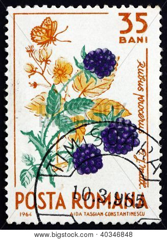 Znaczek Rumunii 1964 Dzikie jeżyny, Rubus Procerus