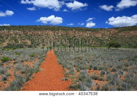 Caminando por sendero, Outback NSW Australia