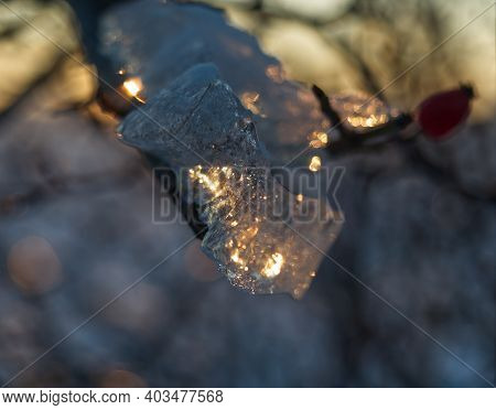 Ice Layer At A Tree While The Sun Reflects Into It In Thuringia