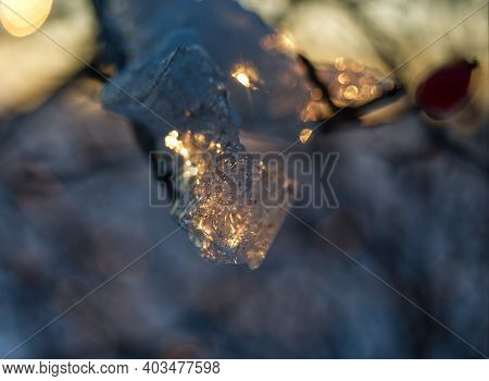 Ice Layer At A Tree While The Sun Reflects Into It In Thuringia