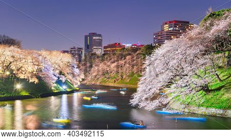 Tokyo, Japan at Chidorigafuchi Imperial Palace moat during the spring season at night.