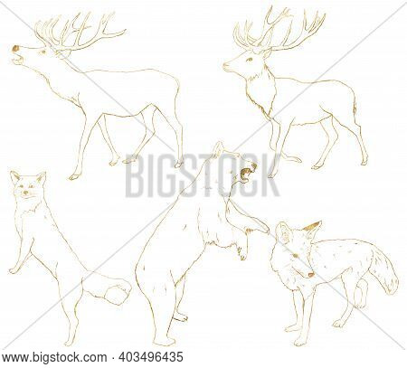 Watercolor Set Of Gold Animals. Hand Painted Linear Bear, Deer, Fox And Wolf Isolated On White Backg