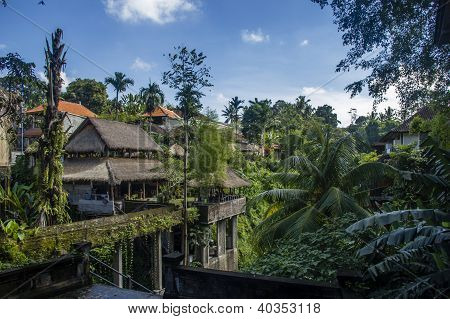 Bali dili şehir