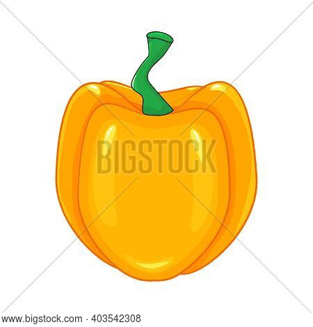 Paprika Isolated On White Background. Hungarian Fresh Yellow Pepper Vegetable, Healthy Food, Spice. 