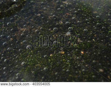 Close Up Shot Of Bubbles In A Puddle