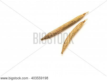 Two Molokhia Or Egyptian Spinach Dried Seed Pods Isolated On White Studio Shot
