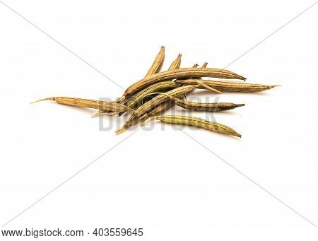 Group Of Molokhia Or Egyptian Spinach Dried Seed Pods Isolated On White Studio Shot