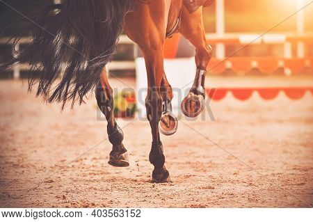 The Shod Hooves Of A Galloping Bay Horse Step On The Sand Of An Outdoor Arena At Equestrian Competit