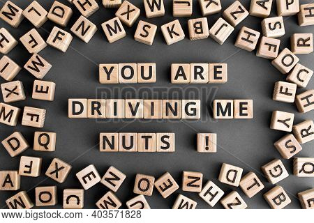 You Are Driving Me Nuts - Phrase From Wooden Blocks With Letters, To Make Someone Very Annoyed Conce