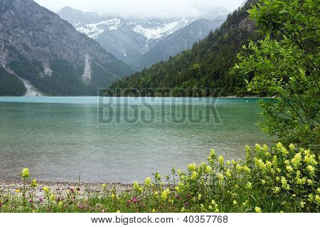 Sommerlandschaft Plansee (Ã–sterreich).