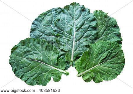 Leaves Of Rastan ( Collard Greens, Collards )   - Popular Leafy Vegetables In Balkan Cuisine. Isolat