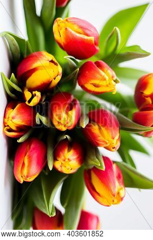 Beautiful Tseti Tulips And Roses On A Light Background