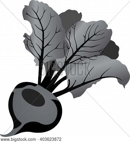 Purple Beets With Green Leaves. Grayscale Image Of Food.