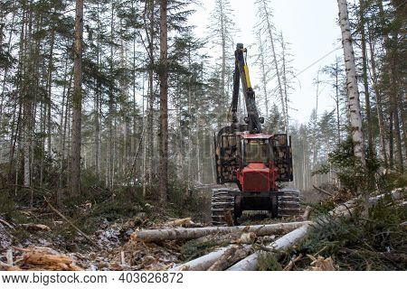 The Work Of Heavy Logging Equipment In The Winter Taih. A Forwarder, Loaded With Sawed Wood, Descend
