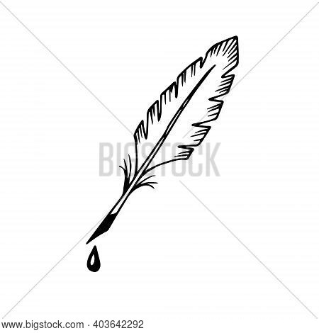 Antique Writing Pen With A Drop Of Ink On The Tip. Bird Feather. Hand Drawn Doodle Sketch Black Outl
