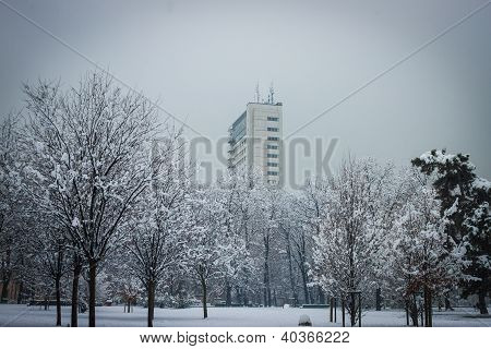 grattacielo nella neve di un parco della città
