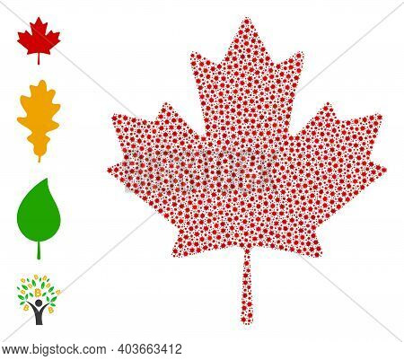 Vector Maple Leaf Icon Covid Mosaic. Maple Leaf Mosaic Is Done From Small Covid Viral Elements. Abst