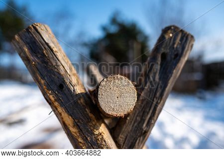 Crosscutted Pine Wood On Wooden Sawhorse Close Up Shot On A Cold Winter Day.