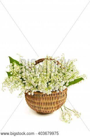 Bouquet Of White Lily Of The Valley (convallaria Majalis) In The Basket On White Background With Spa