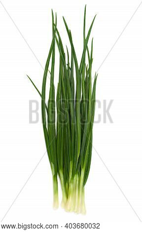 Fresh Raw Green Onions On A White Background