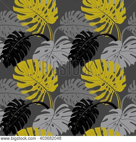 Modern Seamless Pattern With Monstera Leaves On Grey Background With Black Leaves For Fabric And Sur