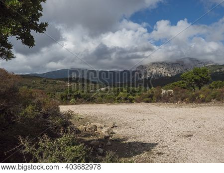 Country Dirt Road At Landscape Of Supramonte Mountains With Green Hills, Trees And Mediterranean For