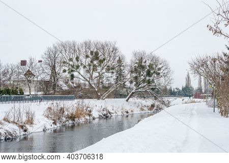 Radunia River In Winter Time In Pruszcz Gdanski, Poland.