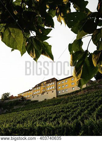 Historic Old Colorful Building Vineyard In Town Meersburg Bodensee Lake Constance Baden-wuerttemberg
