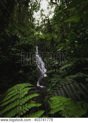 Panorama Of Waterfall Cascade In Tropical Rain Cloud Forest Mindo Valley Jungle Nambillo Ecuador And