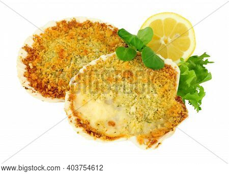 Coquille St Jacques Scallop Shellfish Filled With White Wine And Cheese Cream Sauce, Topped With Bre