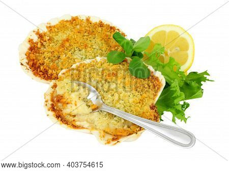 Coquille St Jacques Scallop Shellfish Filled With White Wine And Cheese Cream Sauce, Topped With Bre