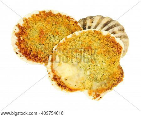 Coquille St Jacques Scallop Shellfish Filled With White Wine And Cheese Cream Sauce, Topped With Bre