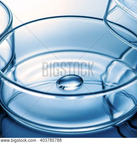 Clean Glass Petri Dish With Liquid Drop Inside Over Blue Light Background