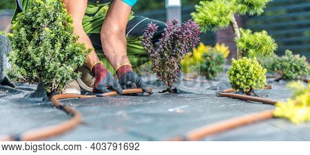 Landscaping And Gardening Industry. Modern Garden Irrigation System Building By Caucasian Garden Tec