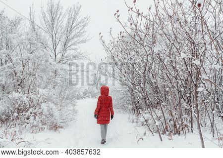Winter snowstorm snow covered trees. Woman in red coat walking in cold weather outside in nature park.