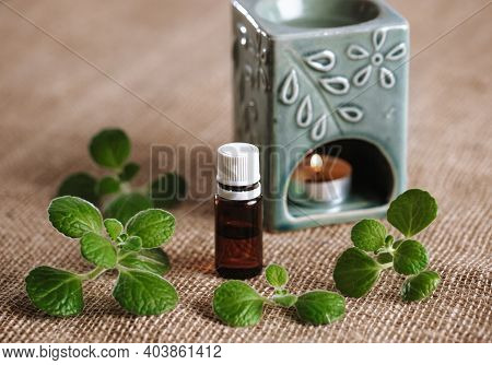 Close Up Of An Aroma Lamp With Burning Candle And Essential Rhyme Or Plectranthus Amboinicus Oil, An