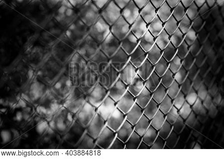 Dramatic Black And White Shot From A Fence - Close Up Shot From A Fence In Black And White - Unknown