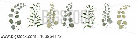 Vector Set From A Set Of Herbs. Green Herbs, Branches With Moldings, Plants. Greens On White Backgro