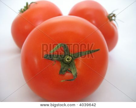 Tomates fraîches